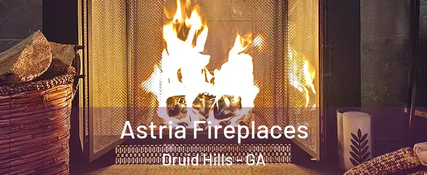  Astria Fireplaces Druid Hills - GA