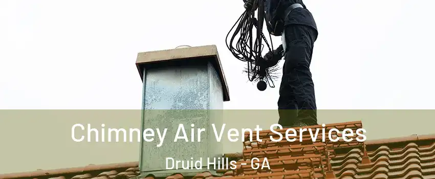  Chimney Air Vent Services Druid Hills - GA