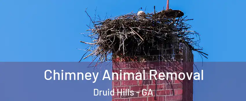  Chimney Animal Removal Druid Hills - GA