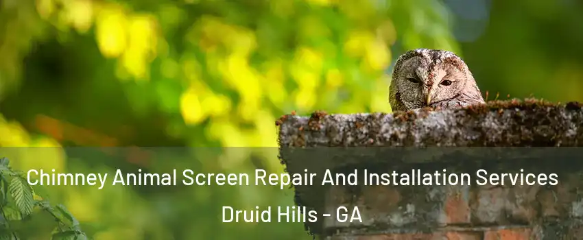  Chimney Animal Screen Repair And Installation Services Druid Hills - GA