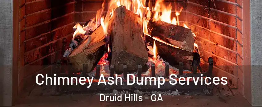  Chimney Ash Dump Services Druid Hills - GA