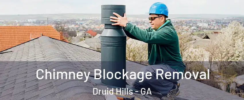  Chimney Blockage Removal Druid Hills - GA