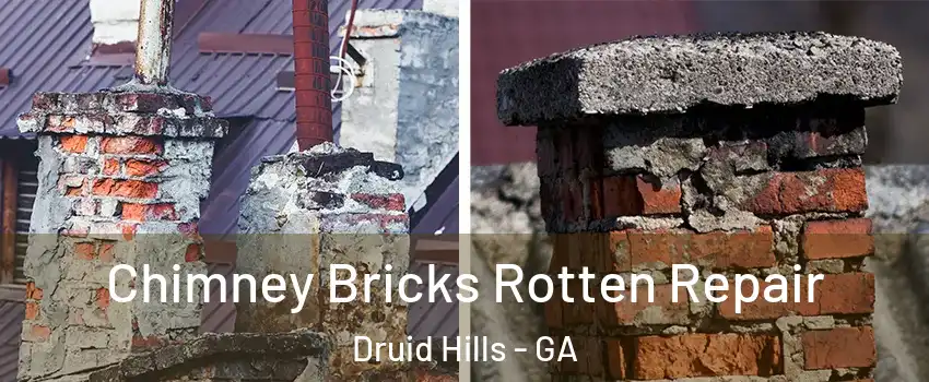  Chimney Bricks Rotten Repair Druid Hills - GA