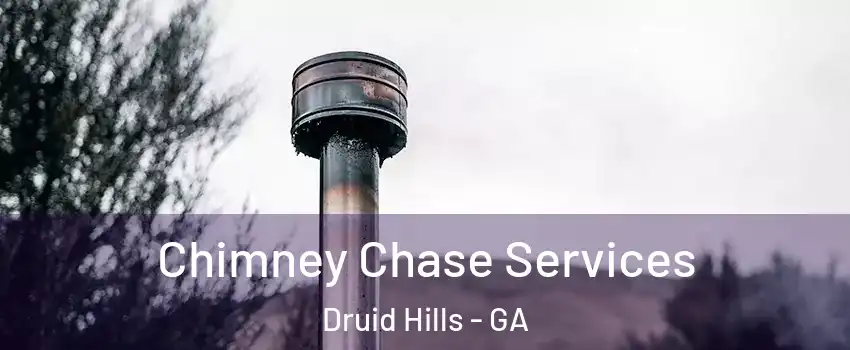  Chimney Chase Services Druid Hills - GA