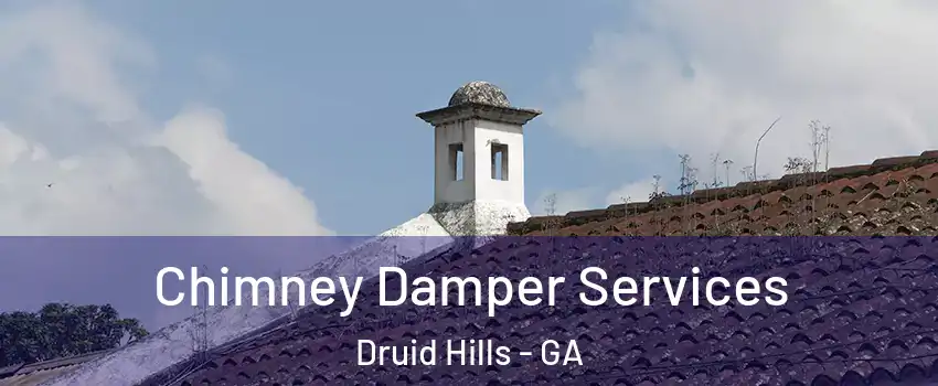  Chimney Damper Services Druid Hills - GA