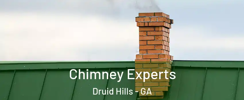  Chimney Experts Druid Hills - GA