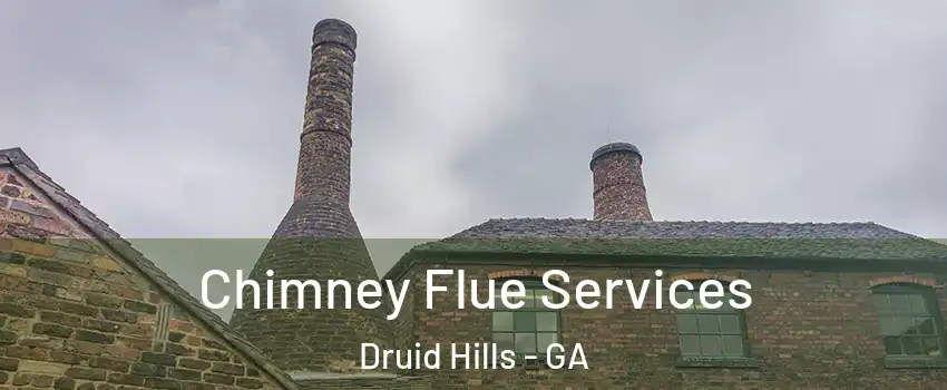  Chimney Flue Services Druid Hills - GA