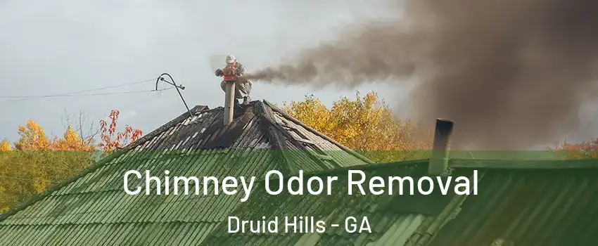  Chimney Odor Removal Druid Hills - GA
