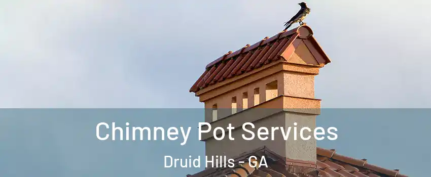  Chimney Pot Services Druid Hills - GA