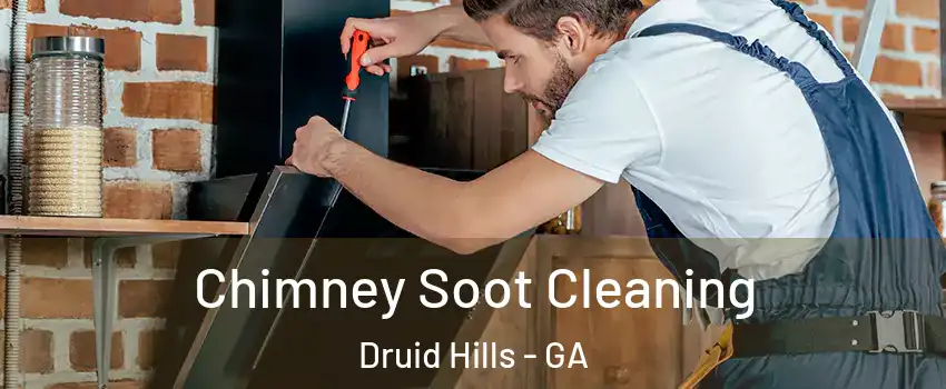  Chimney Soot Cleaning Druid Hills - GA