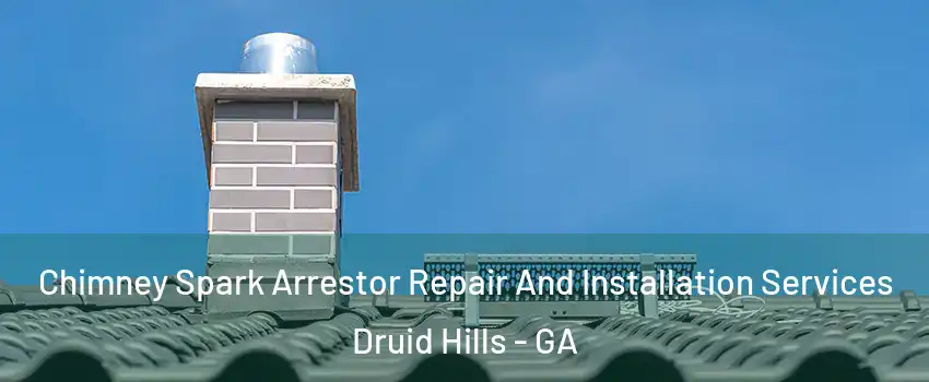  Chimney Spark Arrestor Repair And Installation Services Druid Hills - GA