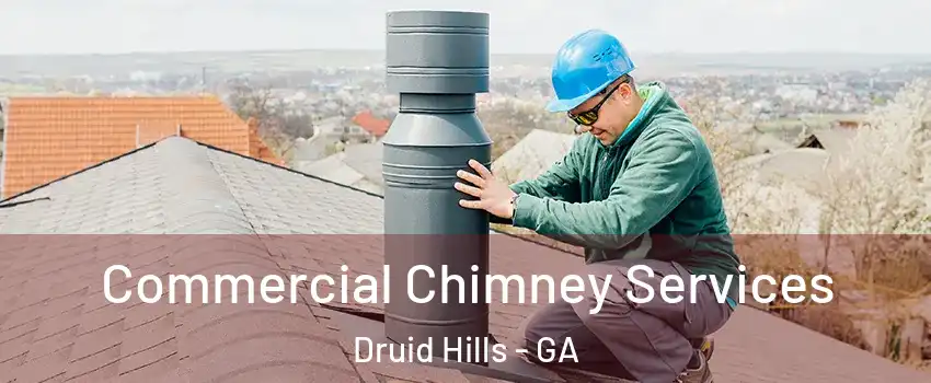  Commercial Chimney Services Druid Hills - GA