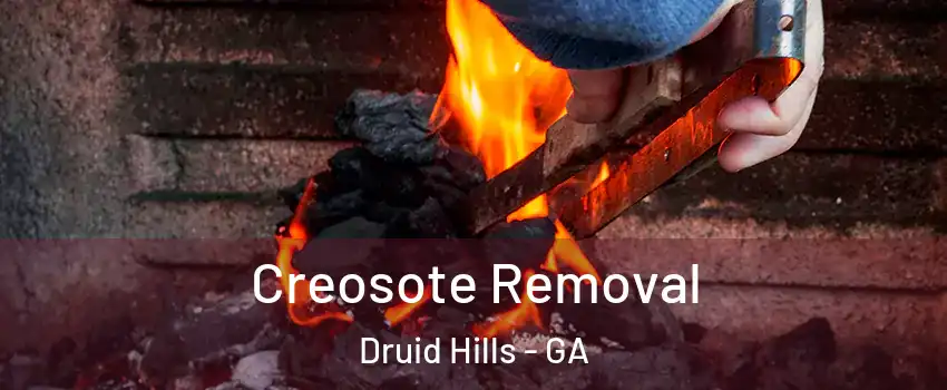  Creosote Removal Druid Hills - GA