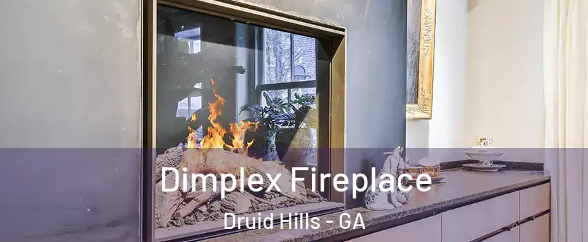  Dimplex Fireplace Druid Hills - GA