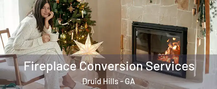  Fireplace Conversion Services Druid Hills - GA