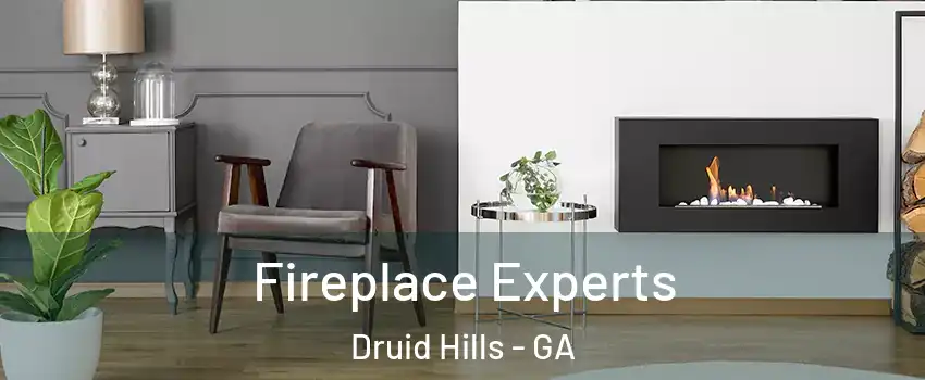  Fireplace Experts Druid Hills - GA