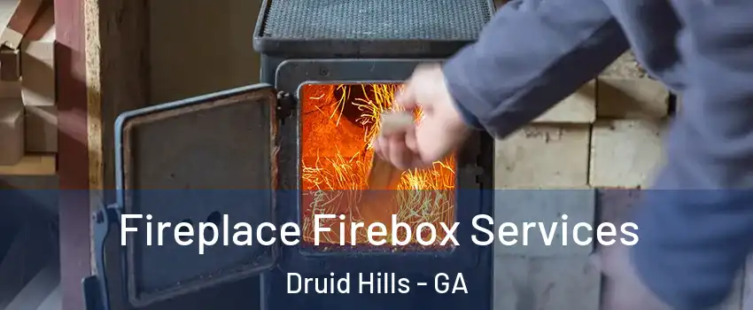  Fireplace Firebox Services Druid Hills - GA
