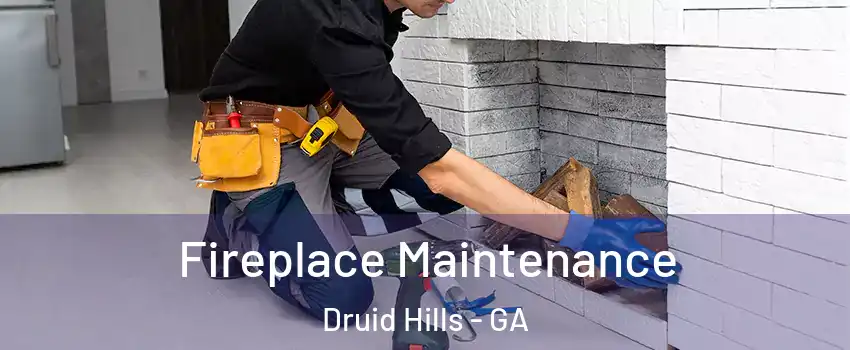  Fireplace Maintenance Druid Hills - GA