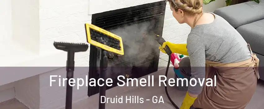  Fireplace Smell Removal Druid Hills - GA