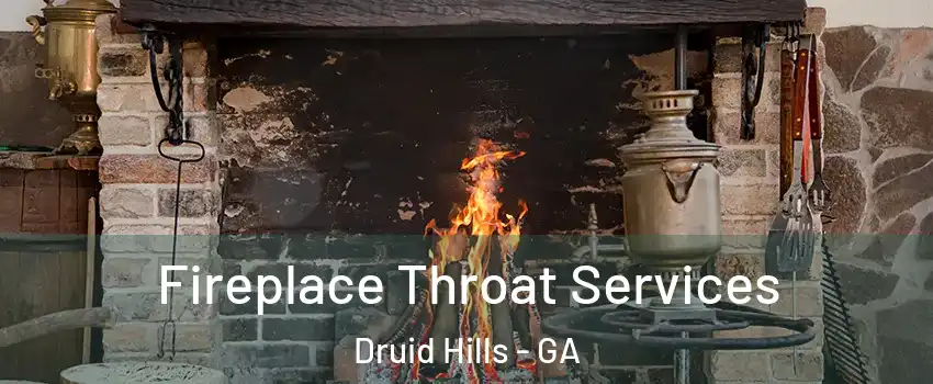  Fireplace Throat Services Druid Hills - GA