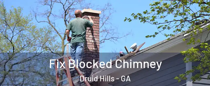  Fix Blocked Chimney Druid Hills - GA