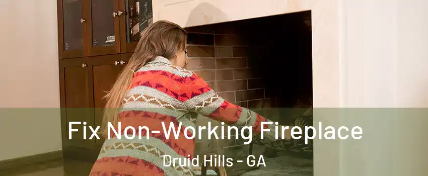  Fix Non-Working Fireplace Druid Hills - GA