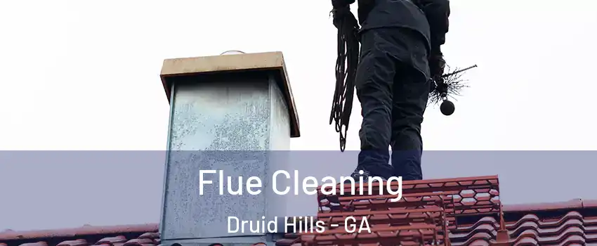  Flue Cleaning Druid Hills - GA