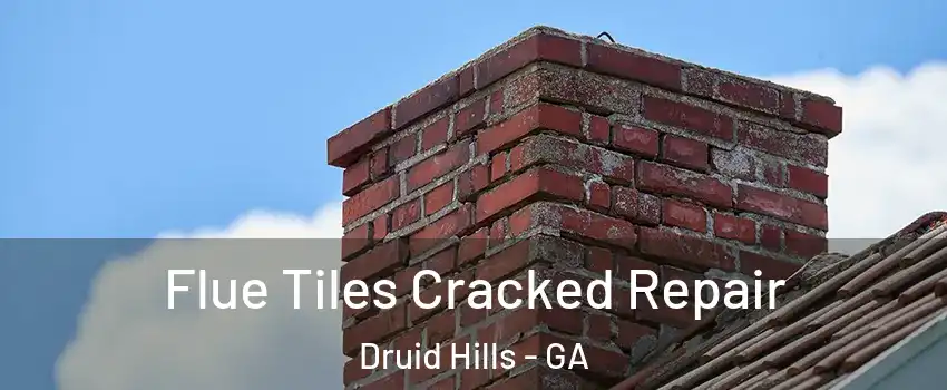  Flue Tiles Cracked Repair Druid Hills - GA