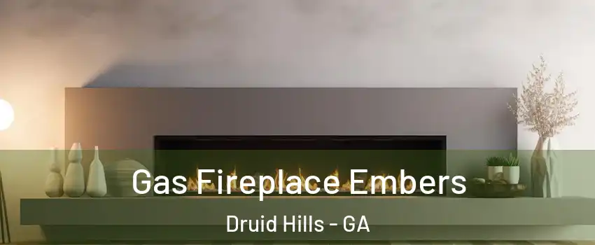  Gas Fireplace Embers Druid Hills - GA