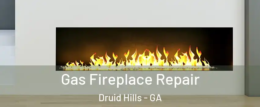  Gas Fireplace Repair Druid Hills - GA