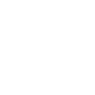 Professional Chimney Flue Installation in Druid Hills, Georgia