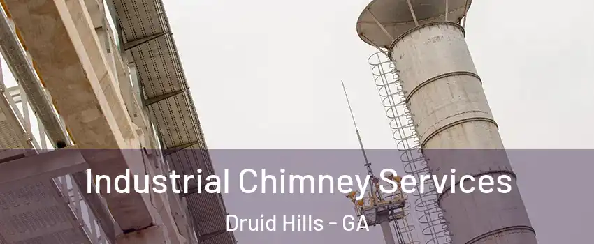  Industrial Chimney Services Druid Hills - GA