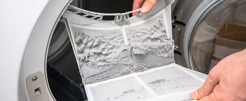 Best Dryer Lint Removal Company in Druid Hills, Georgia