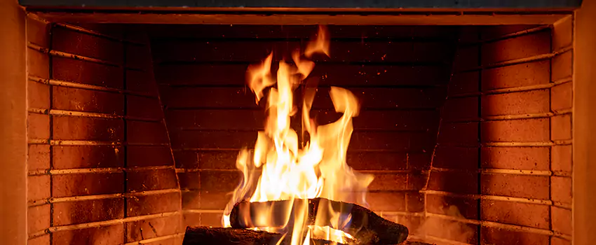 Soot Cleanup Services in Druid Hills, GA
