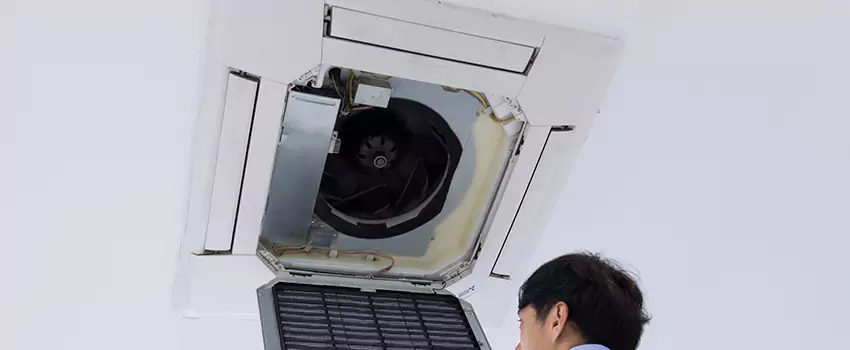 Benefits of Professional Air Duct Cleaning in Druid Hills, Georgia