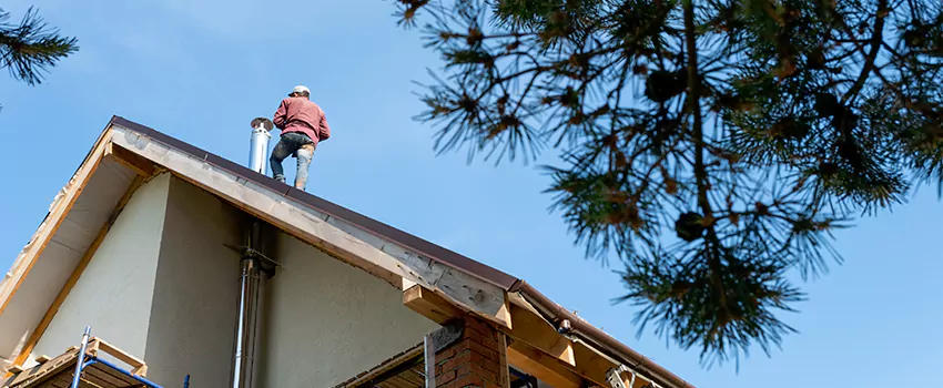 Birds Removal Contractors from Chimney in Druid Hills, GA