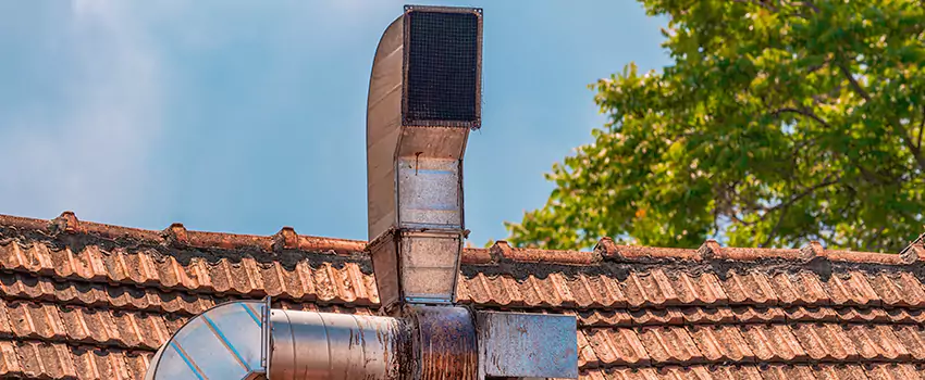 Chimney Blockage Removal in Druid Hills, Georgia