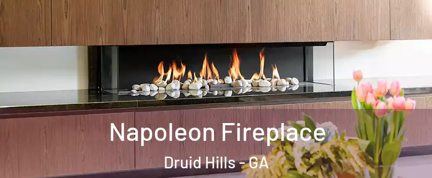  Napoleon Fireplace Druid Hills - GA