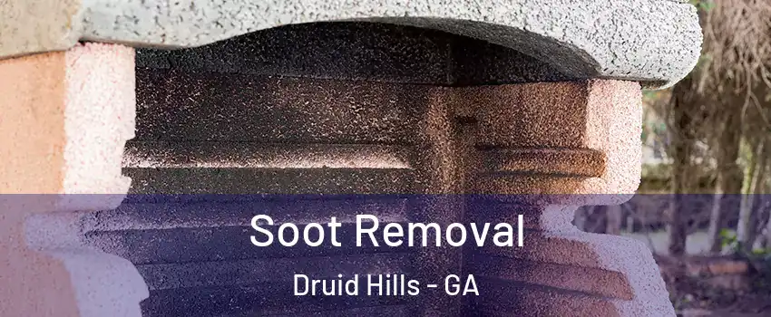  Soot Removal Druid Hills - GA